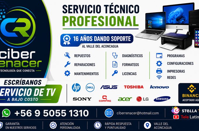 Soporte técnico profesional